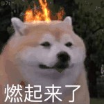 管理手机，掌控手机