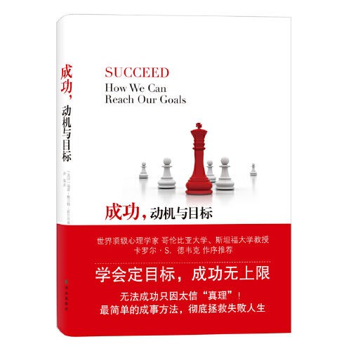 《成功，动机与目标》