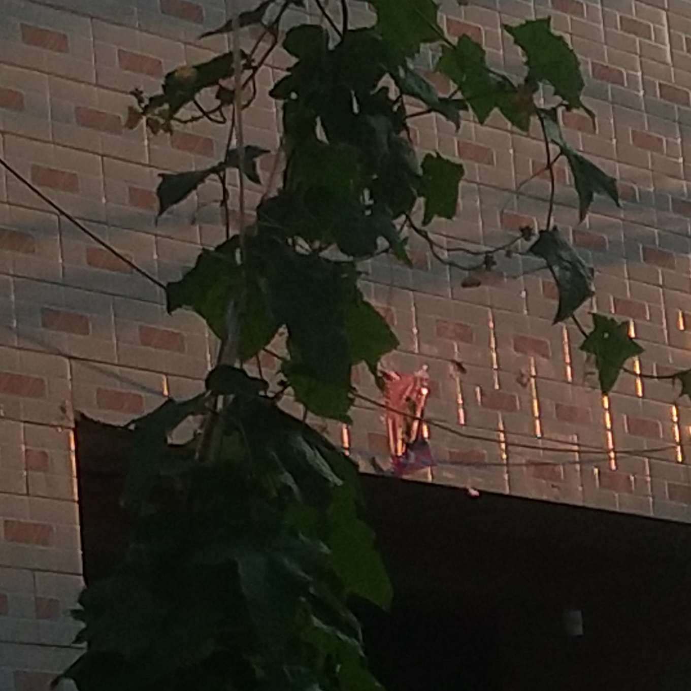 一些杂乱的文案