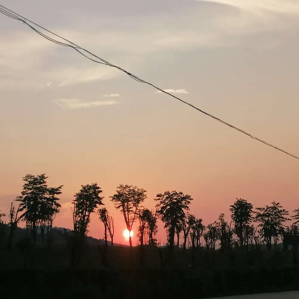 治愈