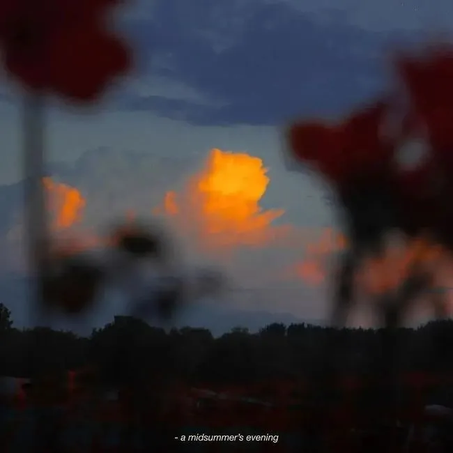 温柔的英文文案