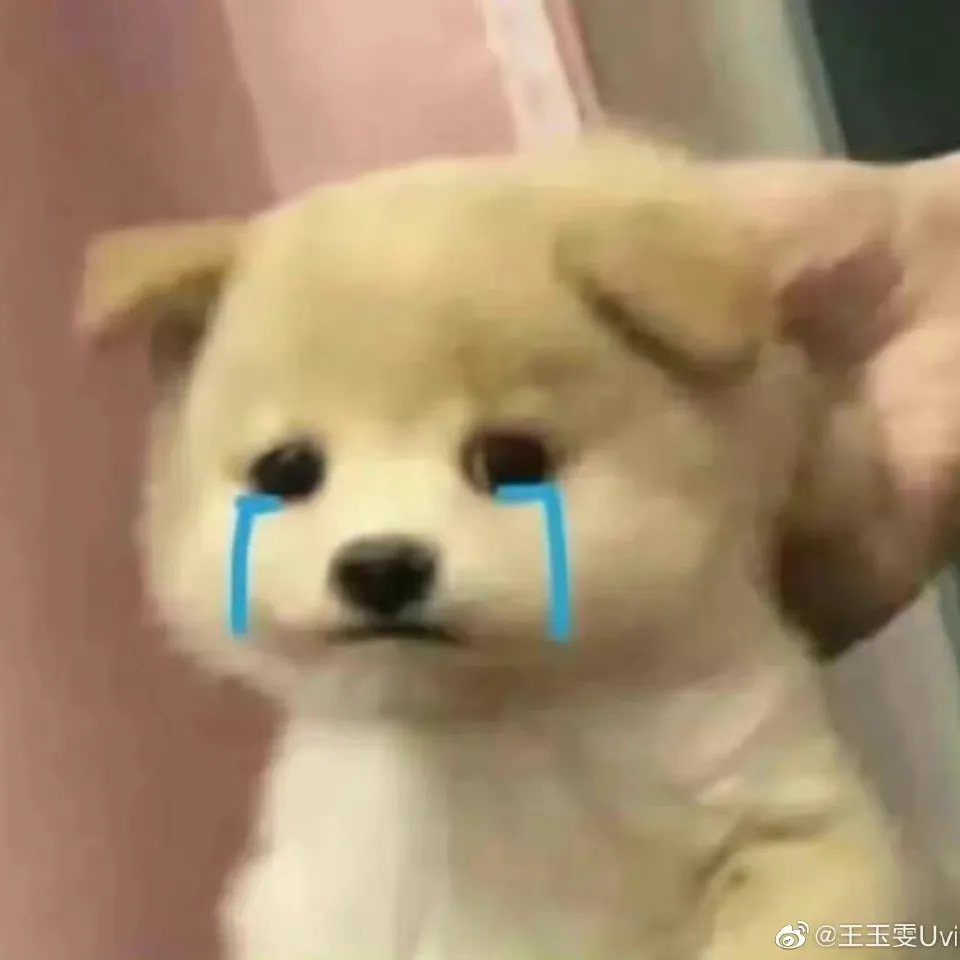 环境描写