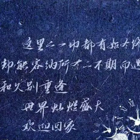 白色洋桔梗
