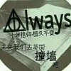 哈利波特