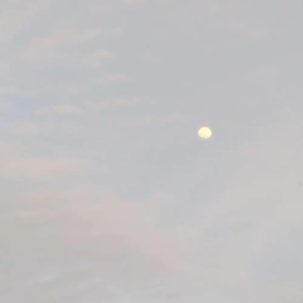寄心明月