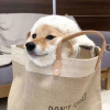 书籍句子摘抄