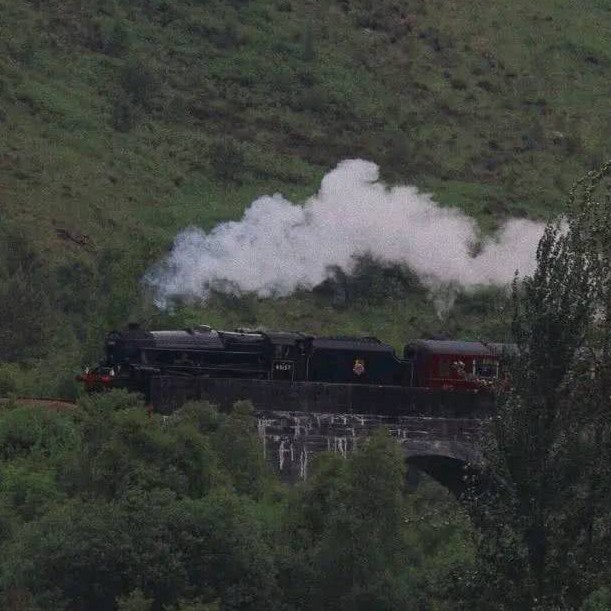 放荡不羁爱自由