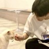 不要难过，乖乖，来这里，总有一条可以治愈你