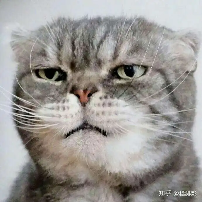 少年势