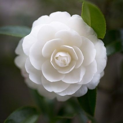 别来无恙，依然从前