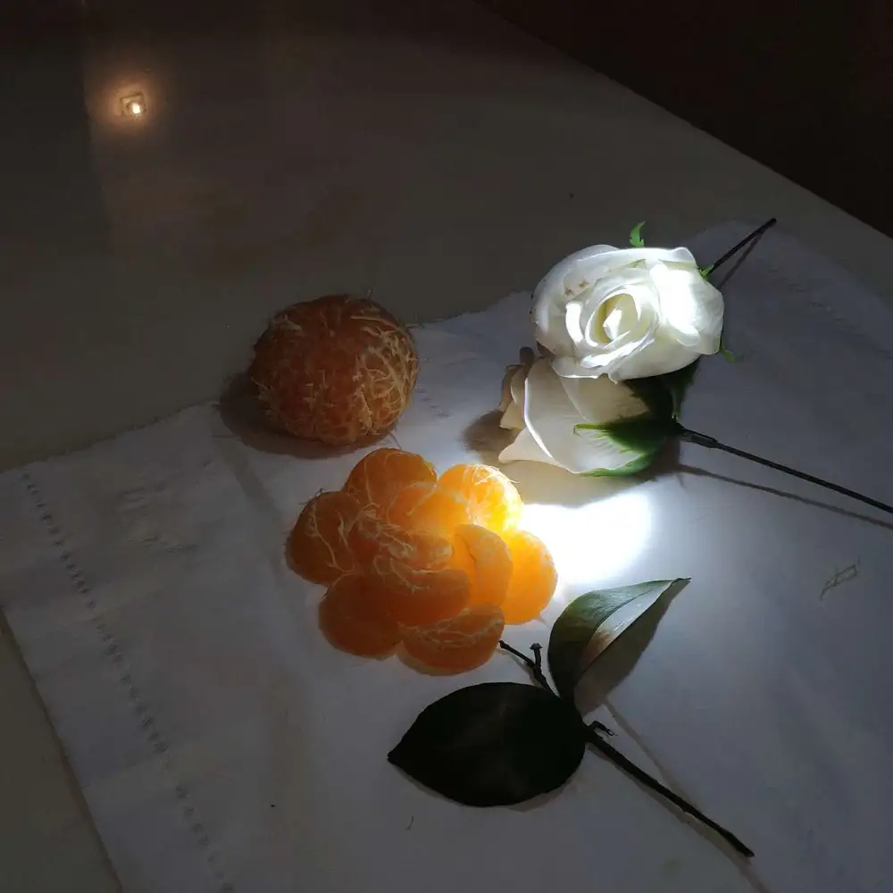 鲜花少年