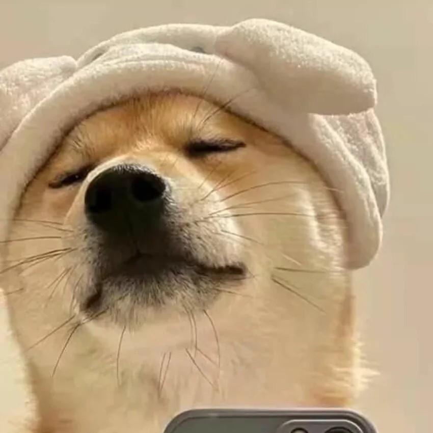 别来无恙的专辑