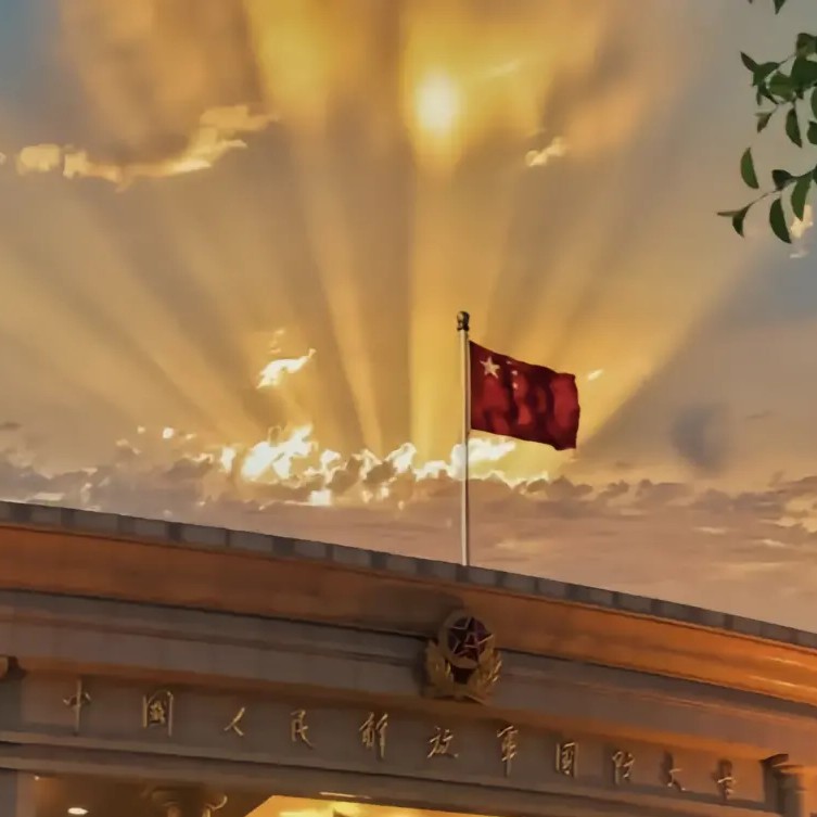 莲莲子周的专辑