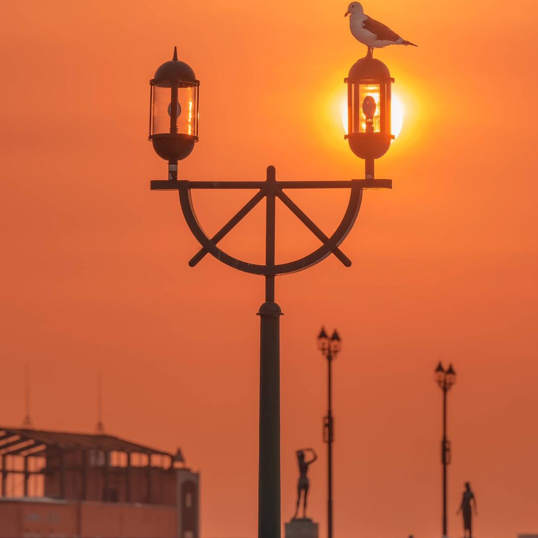 Healing and tenderness