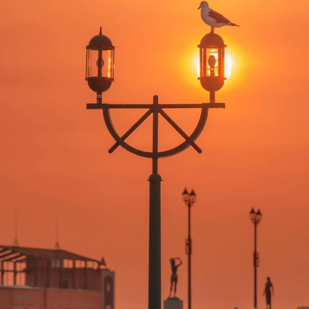 Healing and tenderness