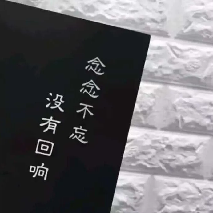 嘿，笨蛋的专辑