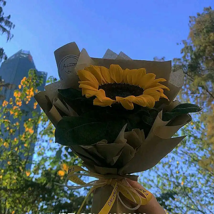 杂