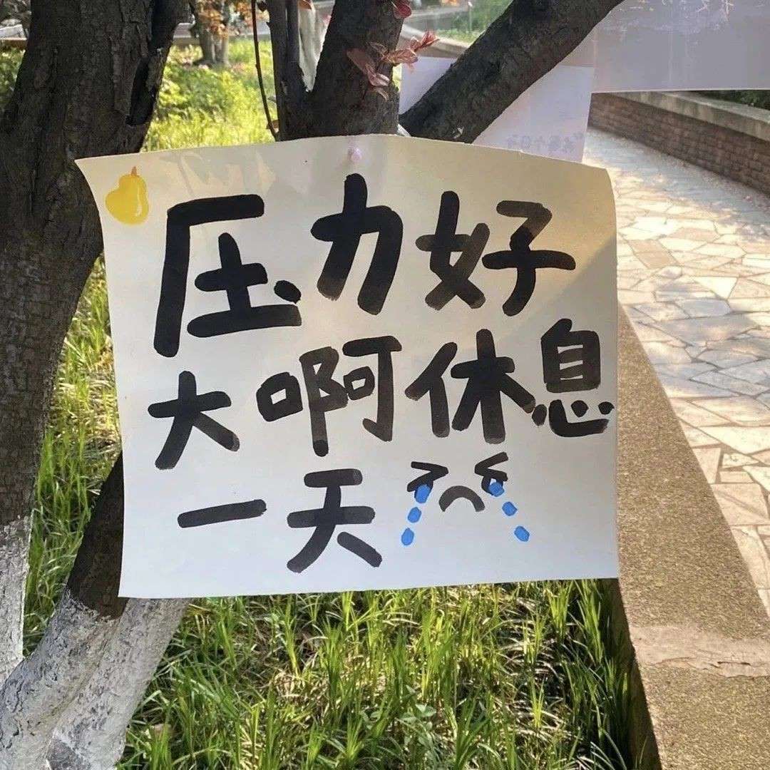 摆烂文案大赏