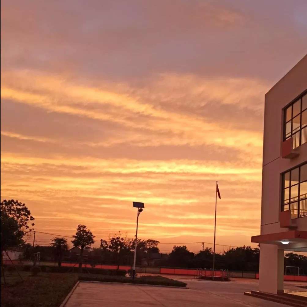 执C棋y人的专辑