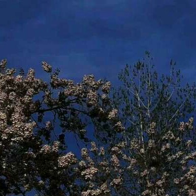 心中碎念，念念不忘的专辑