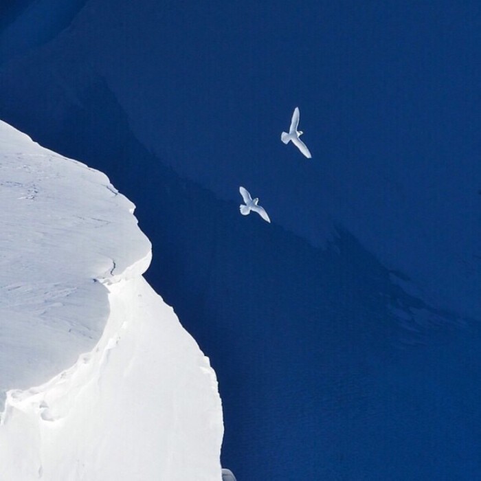 德卡先生的信箱