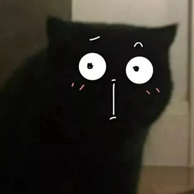 搞笑文案(◍•͈⌔•͈◍)