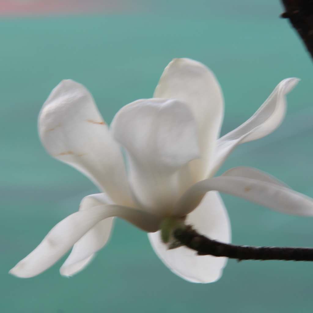 NightDrunk（夜醉）的专辑