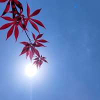 看过的那些影视