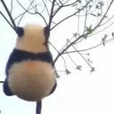 文艺