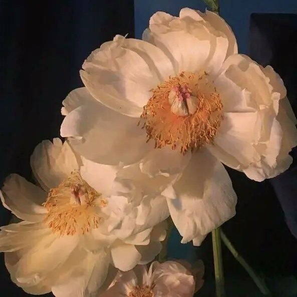 镇魂(仅为分享)