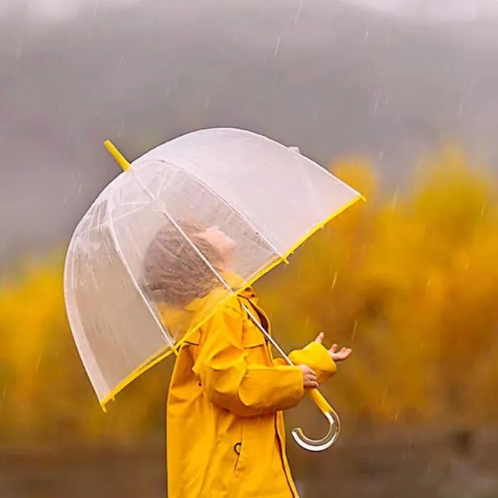 干净治愈的短句文案