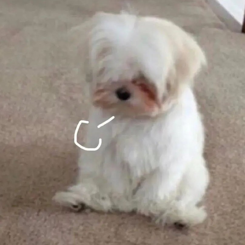 想一位小孩的专辑