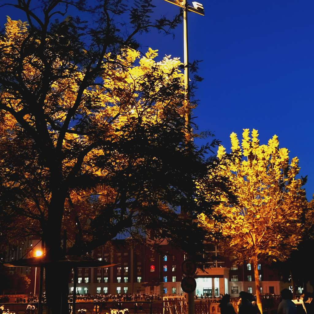 Trying 

to 

recapture 

your 

lost 

youth.