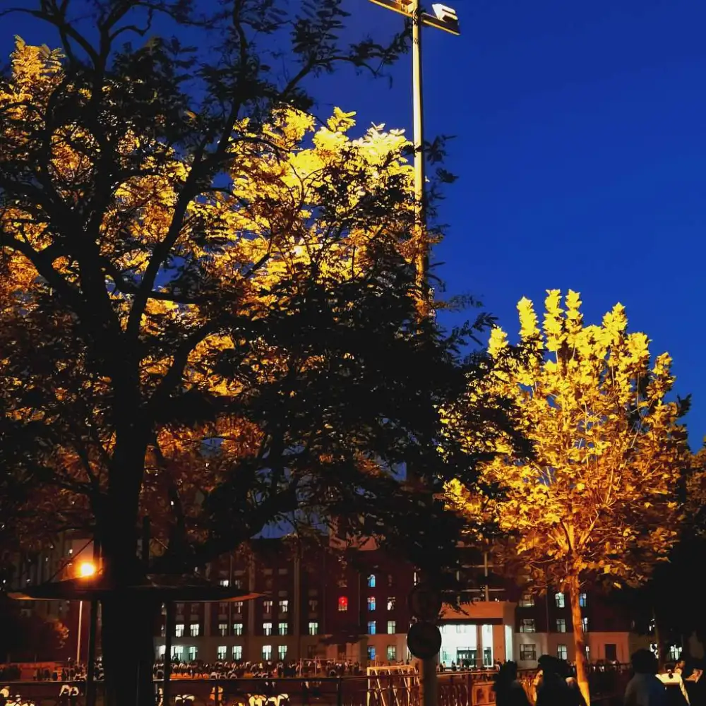 Trying 

to 

recapture 

your 

lost 

youth.