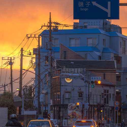 fish tree duck的专辑