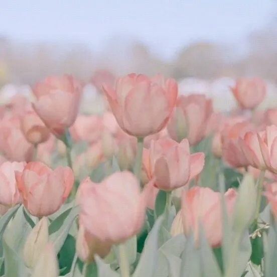 少年，梦想，生活