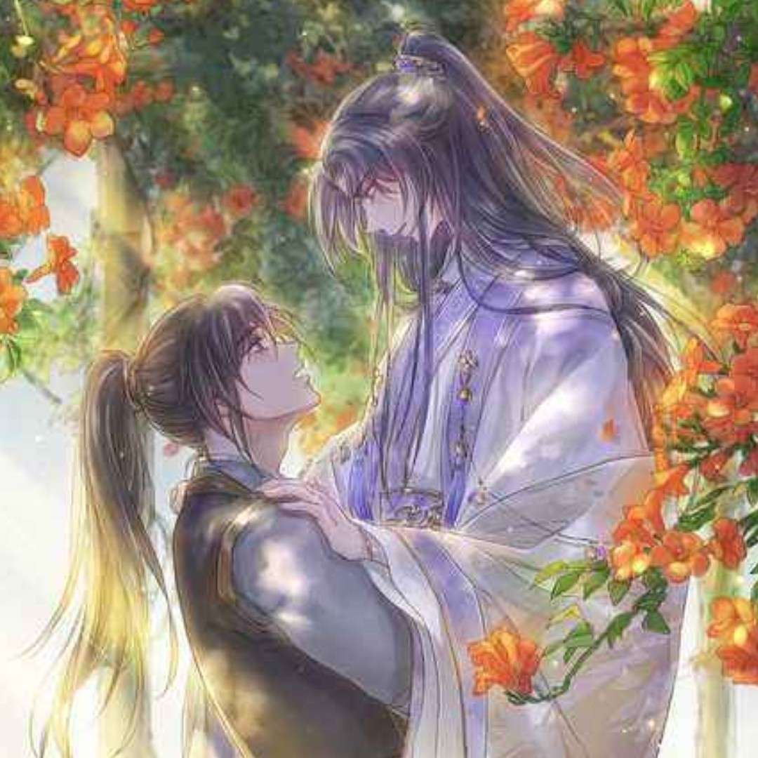 二哈和他的白猫师尊