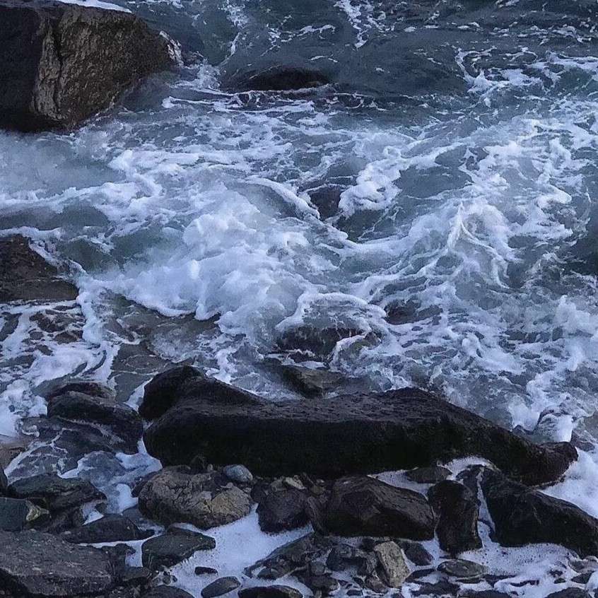 小晨晨是卷毛.的专辑