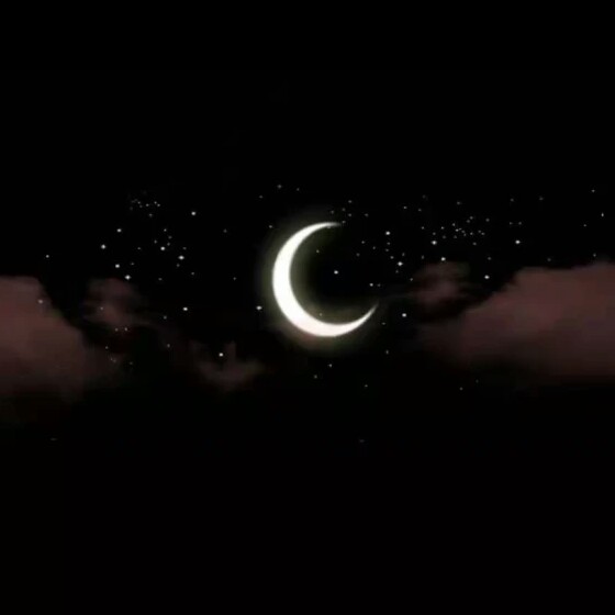 我喜欢你的信息素