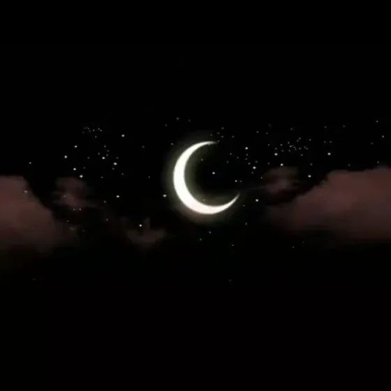 我喜欢你的信息素