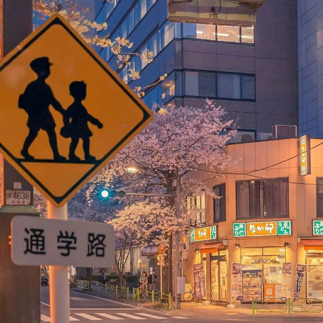 为作文添彩的绝佳句子