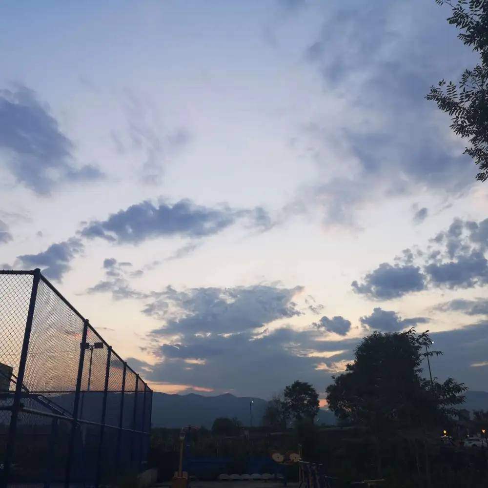 热爱生活的一万个理由