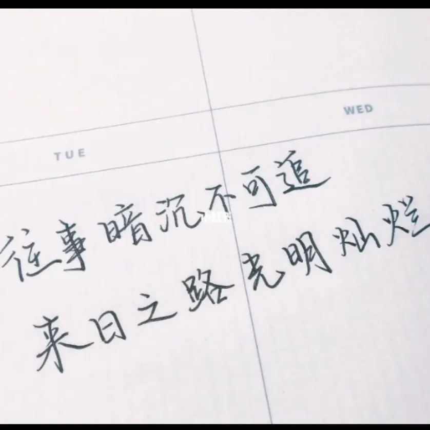 Sunny.的专辑