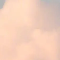 耽