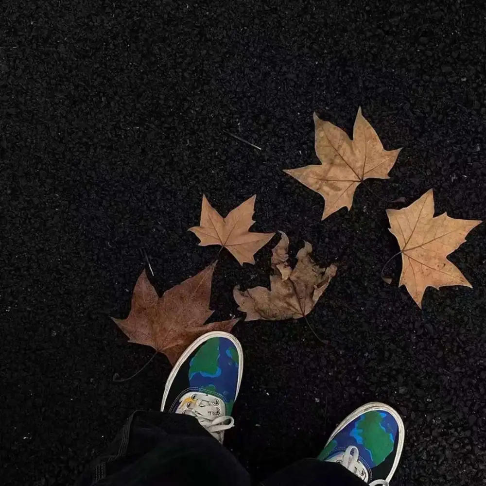 .的专辑