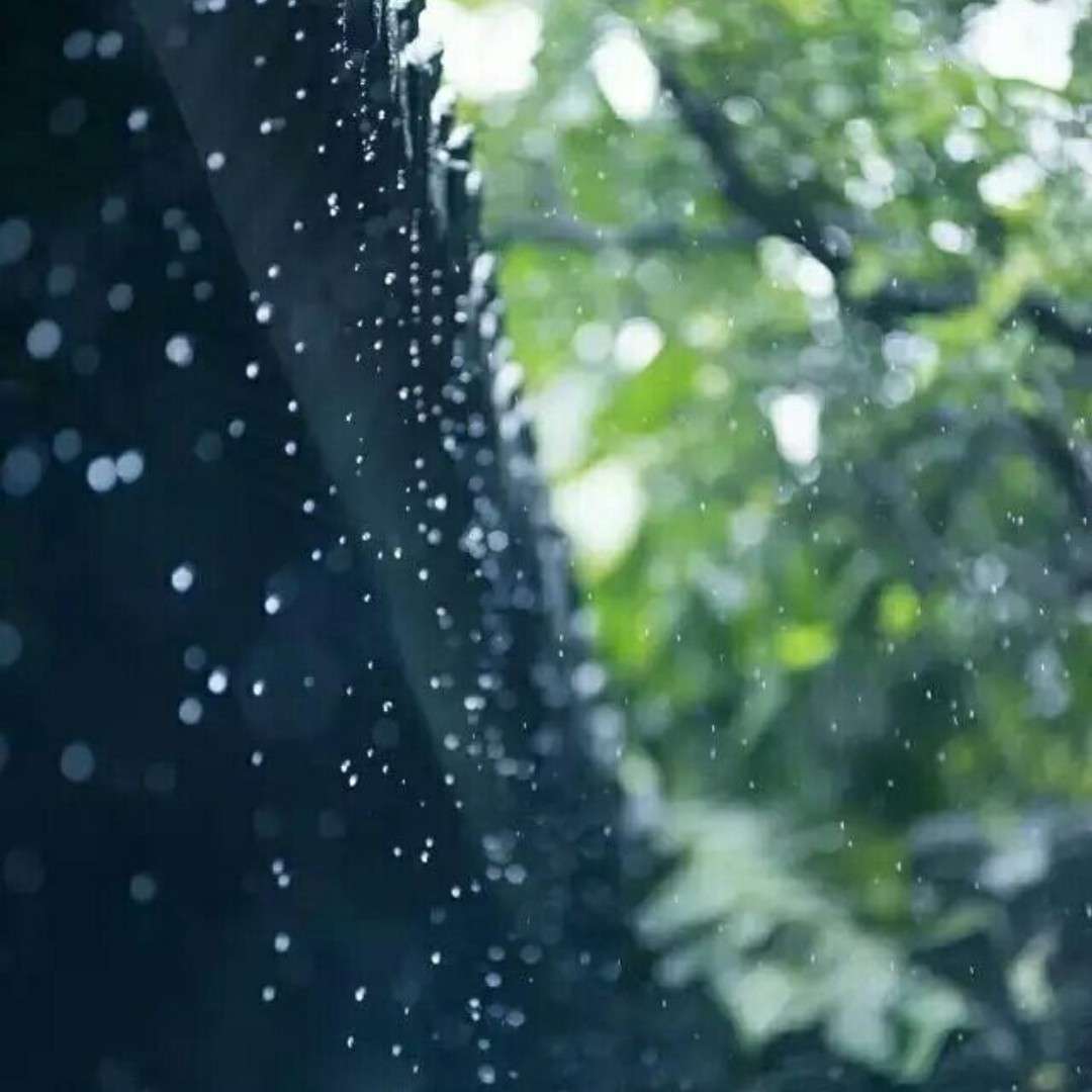 落雨听禅