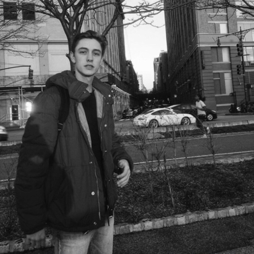 只欠鸳鸯不欠羡的专辑