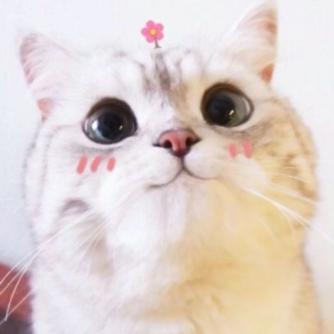 菲的专辑