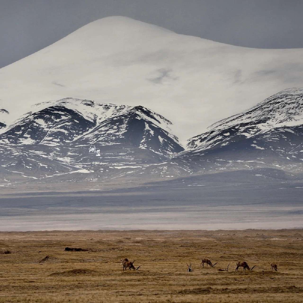 热爱生活、治愈