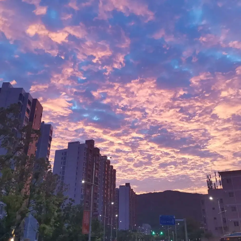 写景